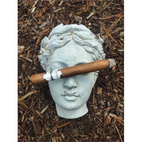 Macanudo Inspirado White Toro 6 1/2 * 50