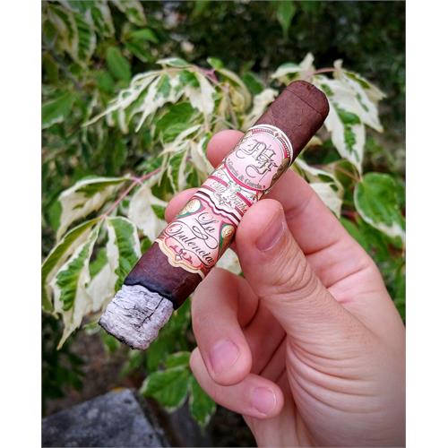 My Father La Opulencia Petite 4 1/2 * 48