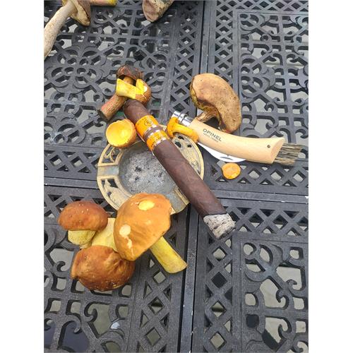 Rocky Patel Vintage 2006 Toro 6 1/2 * 52