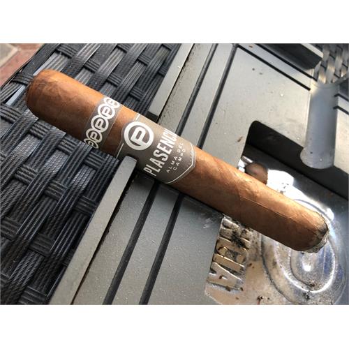 Plasencia Alma Del Campo Guajiro 5 1/2 * 54