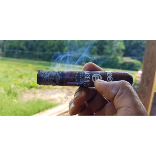 Plasencia Alma Del Campo Guajiro 5 1/2 * 54