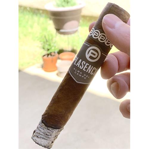 Plasencia Alma Del Campo Guajiro 5 1/2 * 54