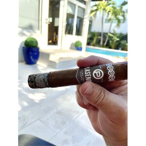 Plasencia Alma Del Campo Guajiro 5 1/2 * 54