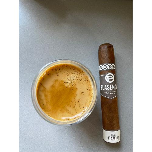 Plasencia Alma Del Campo Guajiro 5 1/2 * 54