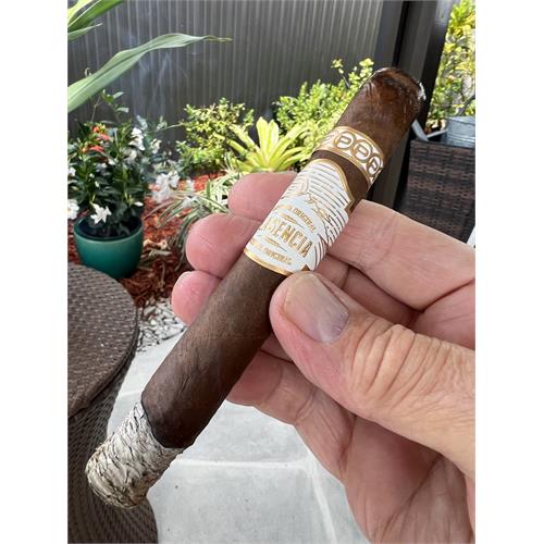 Plasencia Reserva Original Toro 6  * 50