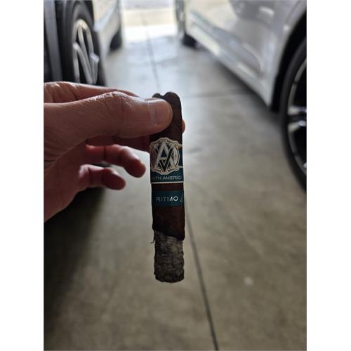 AVO Syncro South America Ritmo Robusto 5  * 50