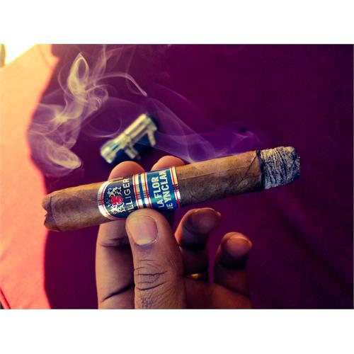 Villiger La Flor de Ynclan Robusto 5  * 50
