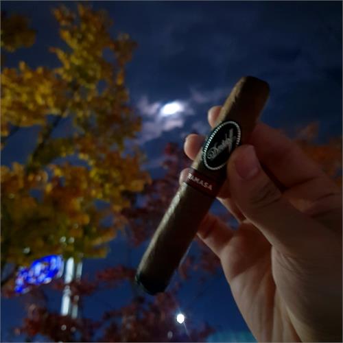 Davidoff Yamasa Robusto 5  * 50