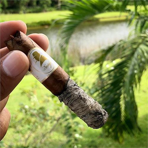 Davidoff Winston Churchill Belicoso 4 1/2 * 46, Pack of 4