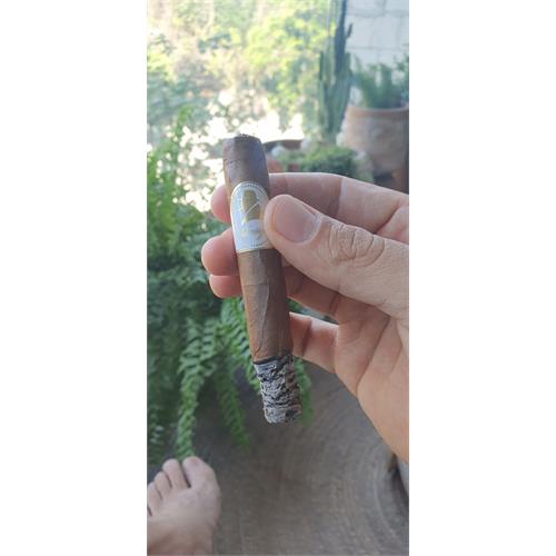 Davidoff Winston Churchill Petit Panetela 4  * 38, Pack of 5