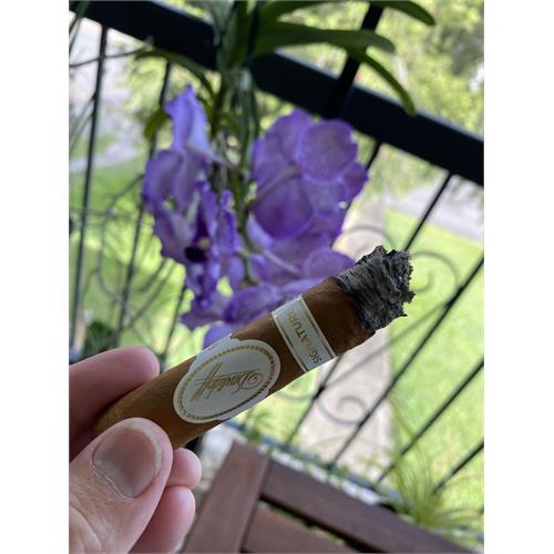 Davidoff Signature 6000 5  * 48