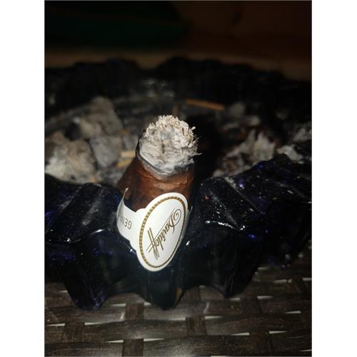 Davidoff Millennium Robusto Tubos 5 1/4 * 50