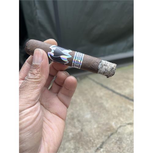 Murcielago Robusto BP 5  * 54