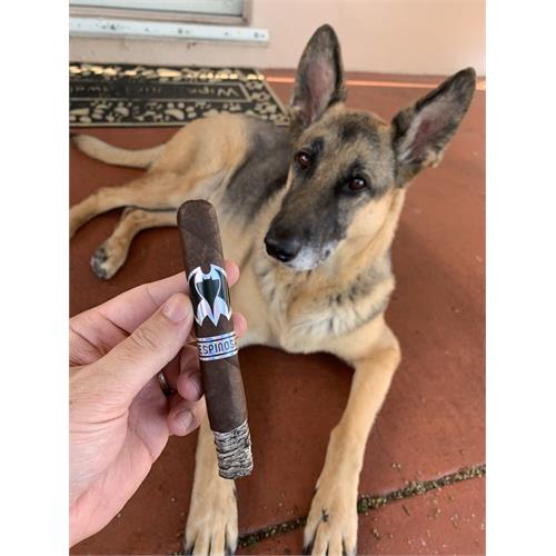 Murcielago Toro BP 6  * 52