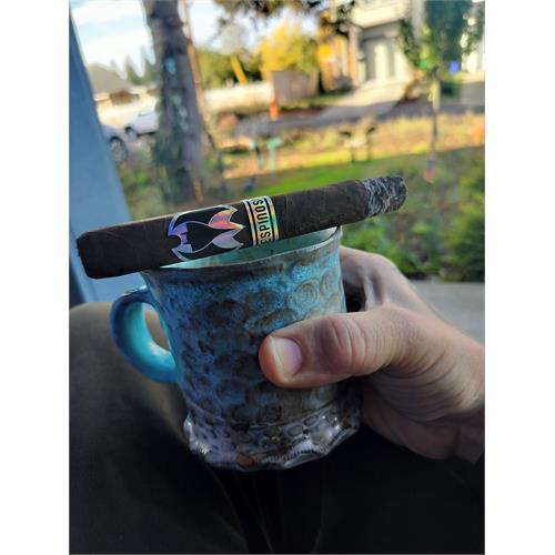 Murcielago Toro BP 6  * 52