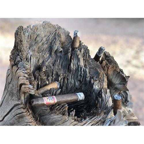 The Wise Man Maduro Robusto 5 1/2 * 50