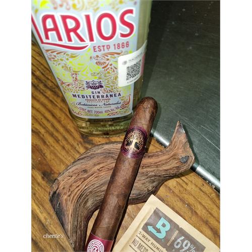 Archetype Axis Mundi Toro 6  * 52