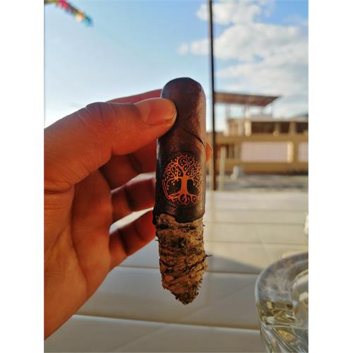 Archetype Axis Mundi Robusto 5  * 54