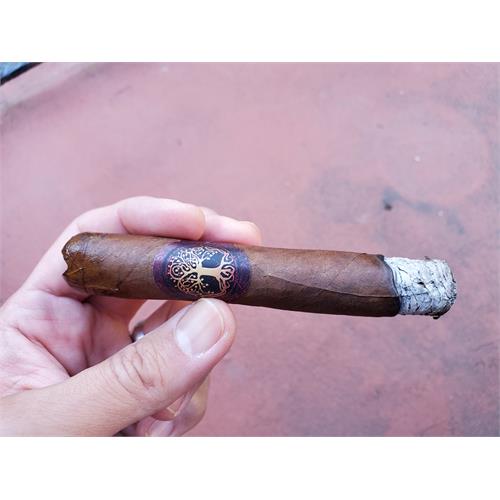 Archetype Axis Mundi Robusto 5  * 54