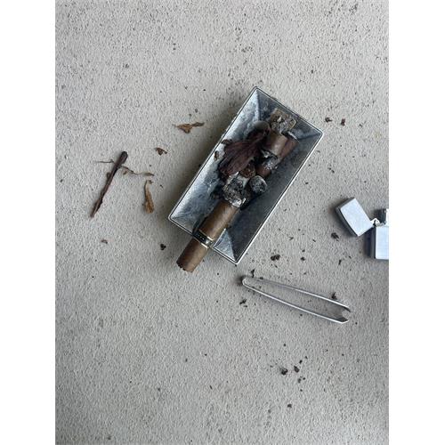 Guardian of the Farm JJ 5 1/4 * 50