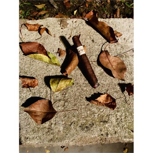 Liga Privada T52 Coronets 4  * 32