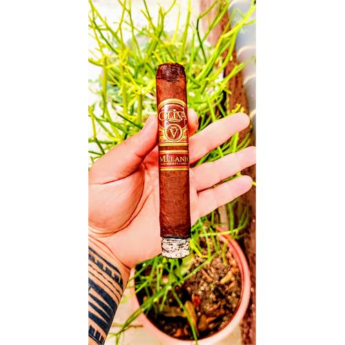 Oliva Serie V Melanio Double Toro 6  * 60