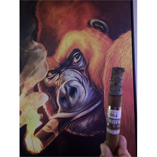 Plasencia Cosecha 146 San Luis Toro 5 3/4 * 54