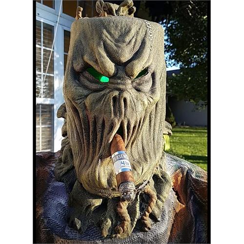 Plasencia Cosecha 146 San Agustin Torpedo 6 1/4 * 52