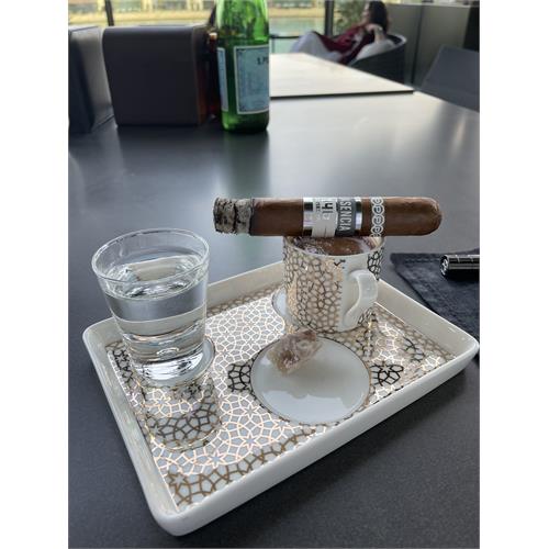 Plasencia Cosecha 146 La Vega Robusto Gordo 5 1/4 * 52