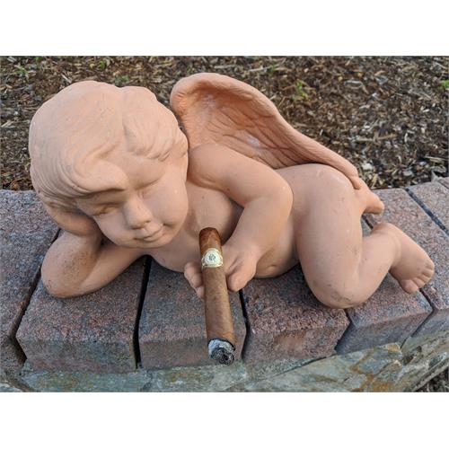 Warped Don Reynaldo Regalos 5  * 46