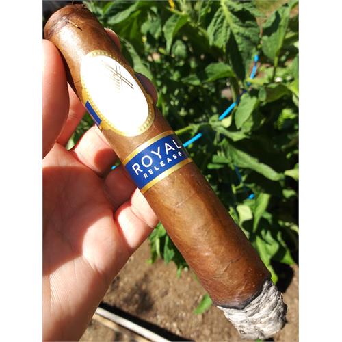 Davidoff Royal Release Robusto 5 1/2 * 55
