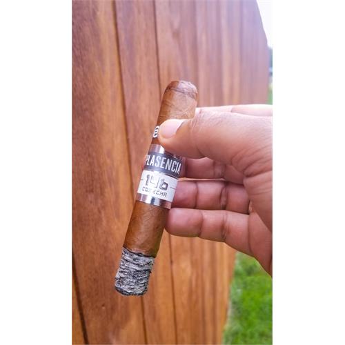 Plasencia Cosecha 146 La Musica Robusto 5  * 50