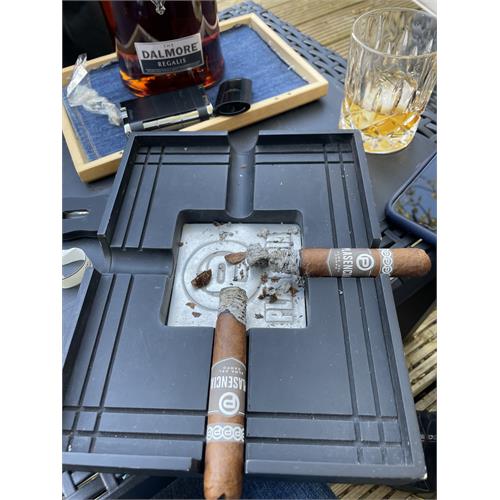 Plasencia Alma del Campo Tribu 5  * 52