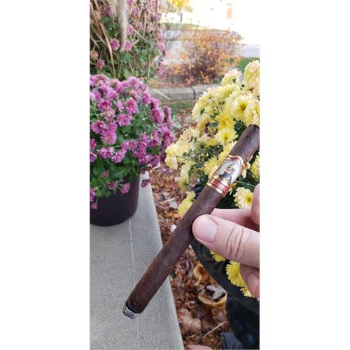 The Tabernacle Corona 5 1/4 * 46