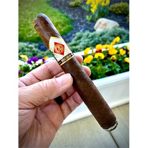 CAO Zocalo Gigante 6  * 60