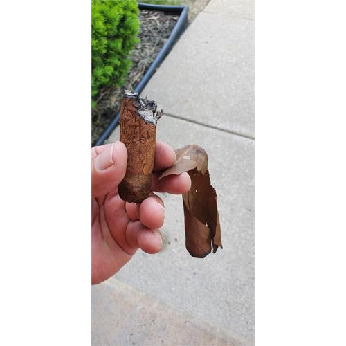 CAO Zocalo Gigante 6  * 60