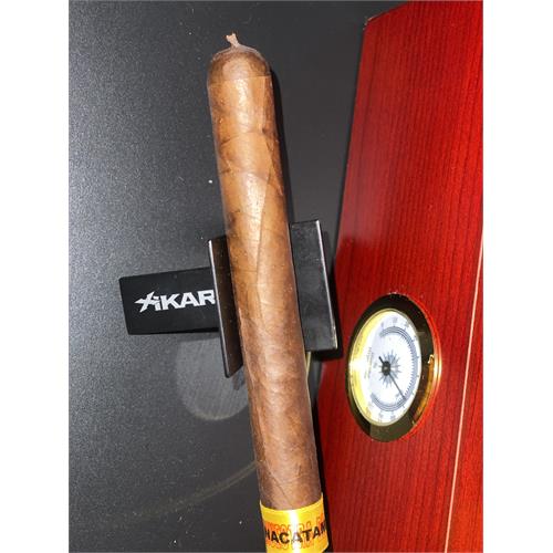 Muestra de Saka Nacatamale 6  * 48