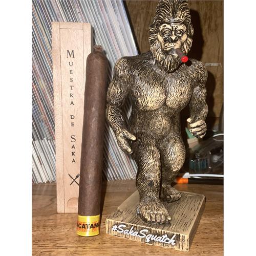 Muestra de Saka Nacatamale 6  * 48