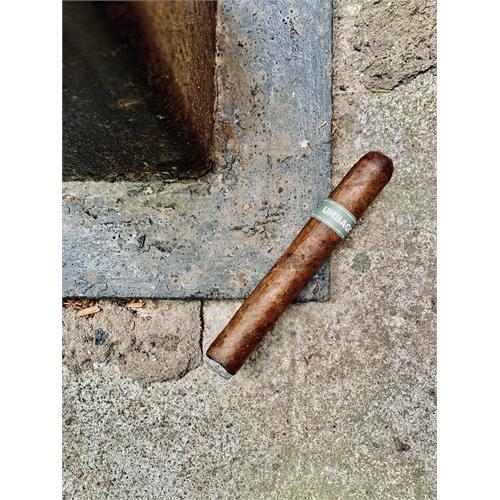 Umbagog Toro Toro 6  * 52