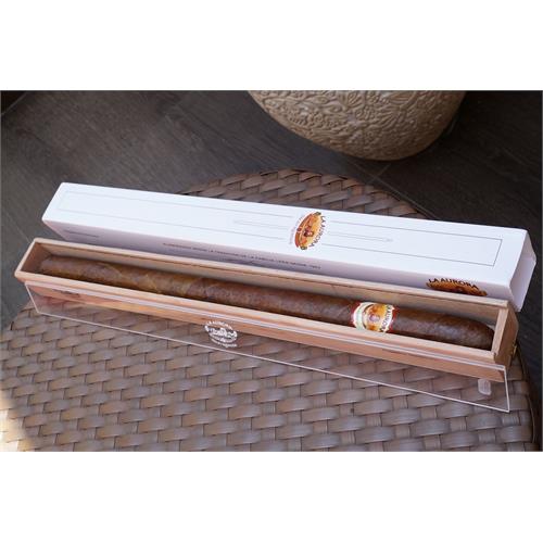 La Aurora Stravaganza 20  * 80