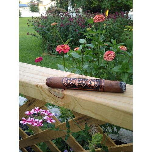 Montecristo Ciudad de Musica Robusto 5  * 50