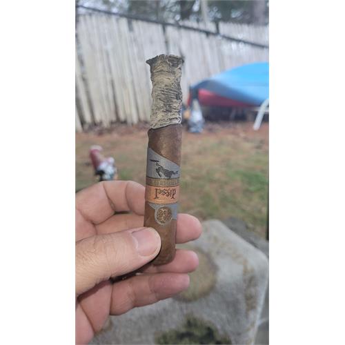 Diesel Whiskey Row Robusto 5 1/2 * 52