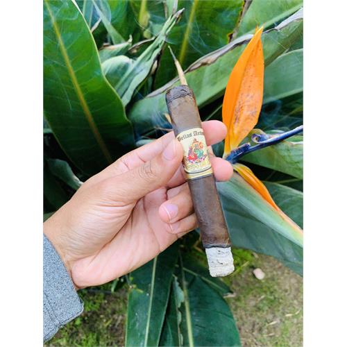 AJ Fernandez Bellas Artes Maduro Robusto 5 1/2 * 52