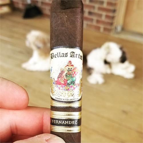 AJ Fernandez Bellas Artes Maduro Toro 6  * 54