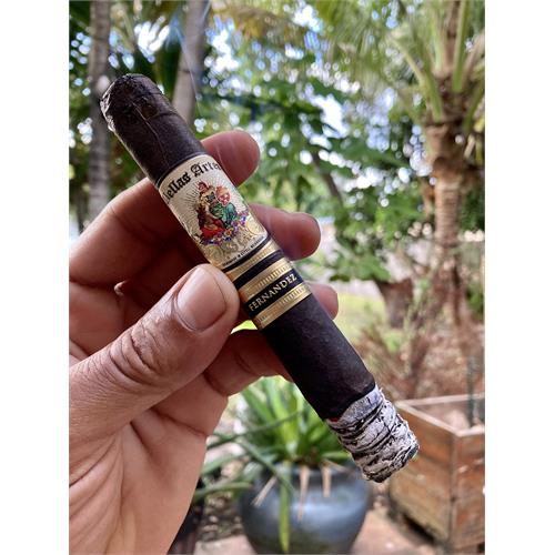AJ Fernandez Bellas Artes Maduro Toro 6  * 54