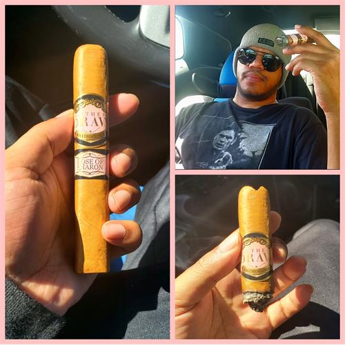 Southern Draw Rose of Sharon Robusto 5 1/2 * 54