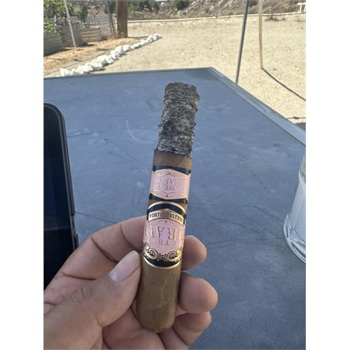 Southern Draw Rose of Sharon Robusto 5 1/2 * 54