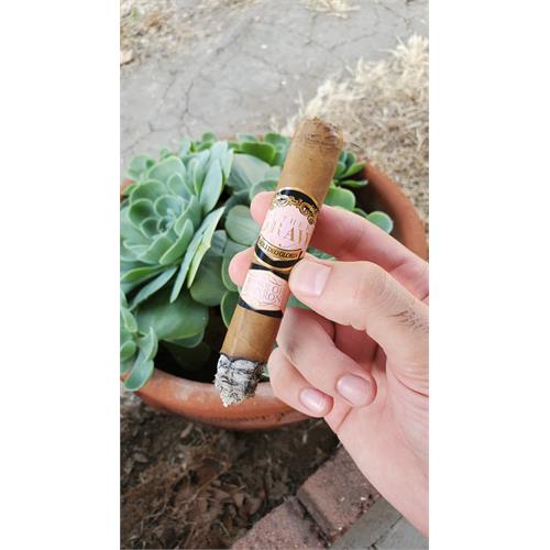 Southern Draw Rose of Sharon Toro 6  * 52