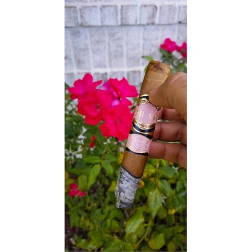 Southern Draw Rose of Sharon Toro 6  * 52