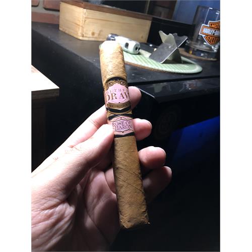 Southern Draw Rose of Sharon Gordo 6 1/2 * 60